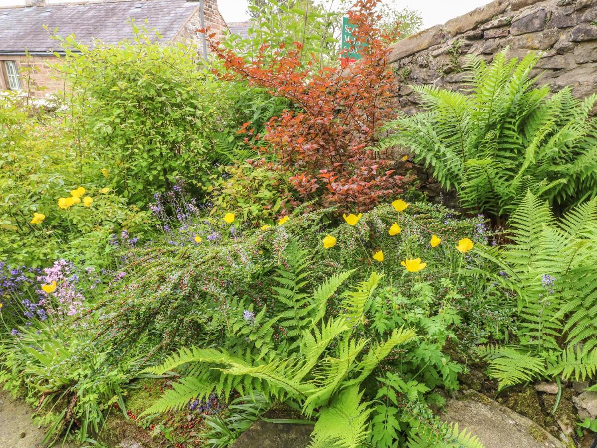 Holly Cottage Matlock  Dış mekan fotoğraf